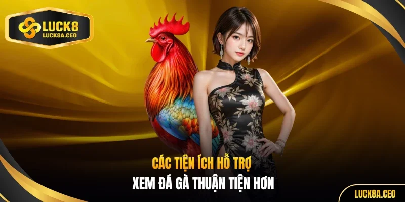 Các tiện ích hỗ trợ xem đá gà thuận tiện hơn